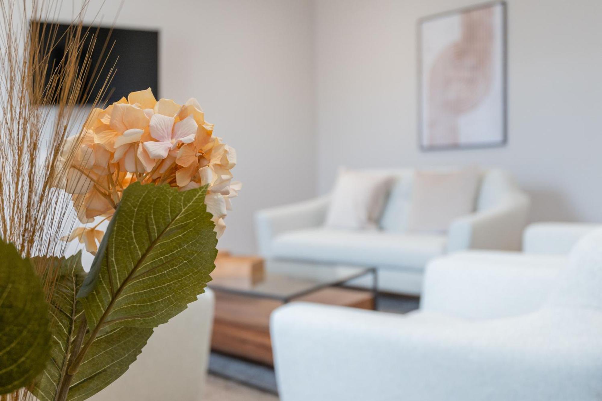 Priorsgate Apartment St Andrews Ngoại thất bức ảnh